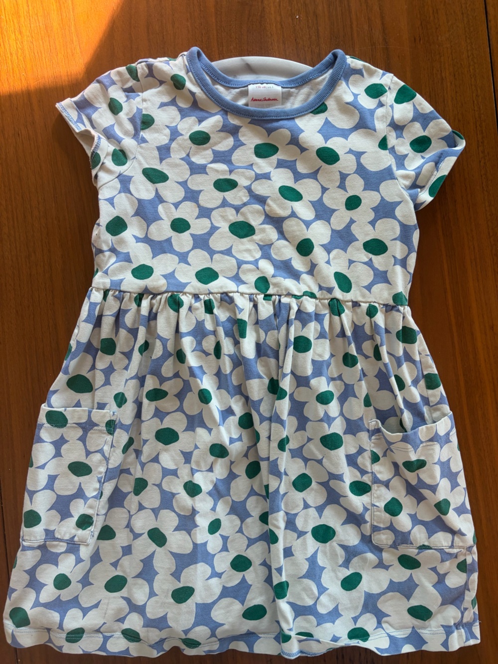 Hanna Andersson blue and green floral dress